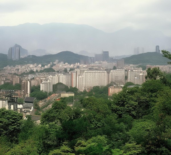 聚焦九龙湖国际商贸城，商贸新活力引领区域发展新篇章